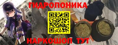 экстази Владимир