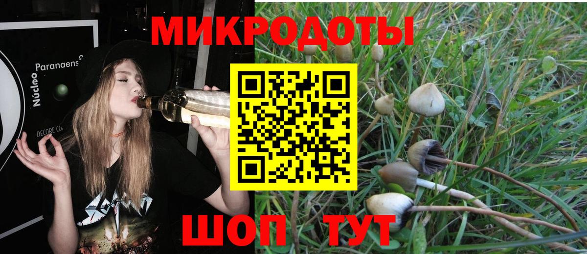 Вольск  Псилоцибиновые грибы мухоморы  Вход с VPN 